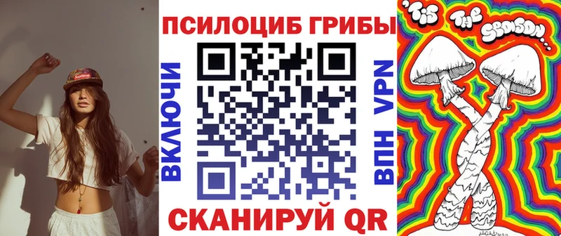 Псилоцибиновые грибы Cubensis  Купить где  Сердобск 